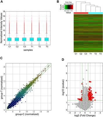 Circular RNA Expression Profiles and Bioinformatic Analysis in Mouse Models of Obstructive Sleep Apnea-Induced Cardiac Injury: Novel Insights Into Pathogenesis